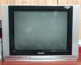TV Flat Panasonic 29 Inch + Set top box