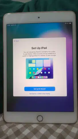 Ipad mini 5 64 GB Rose Gold