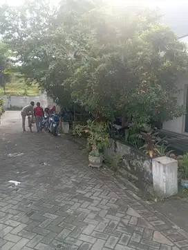 Rumah Usaha dan kontrakan Bibis Karah