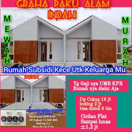 Paku Alam Rumah Subsidi Modern utk Keluarga Mu