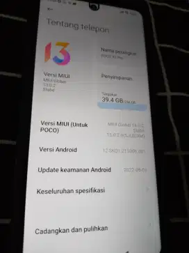 Poco x3 pro normal