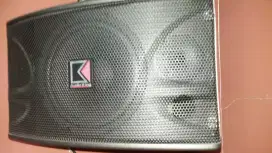 SPEAKER AUDIOKING OK 100 B