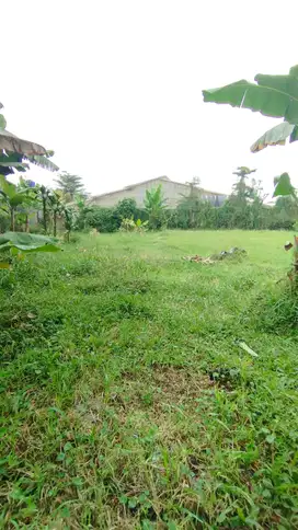 jarang ada kavling Graha puspa Sersan Bajuri dekat Triniti VIB Lembang