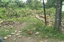 TANAH PEKARANGAN JATISARI GEGER MADIUN