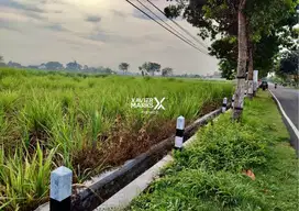 Tanah Prospektif 3500m2 di Banyuarang Ngoro Jombang