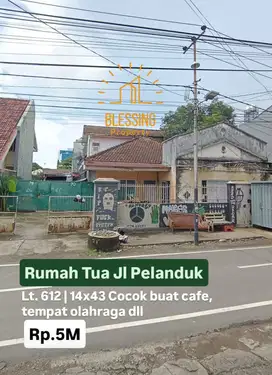 Jual murah rumah tua jl pelanduk luas tanah 612