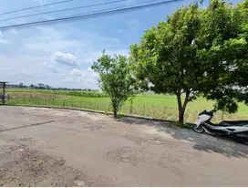 Tanah Zona Kuning Cocok untuk Perumahan