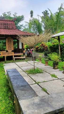 Dijual TANAH &BANGUNAN MURAH,di Gedang Sri Rejeki Semanding Kab,malang