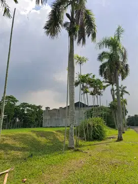 Kavling mewah di Bsd Bukit Golf
