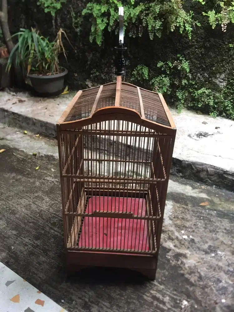Kandang bekas kenari minat wa aja