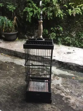 Kandang bekas ciblek aman minat wa aja