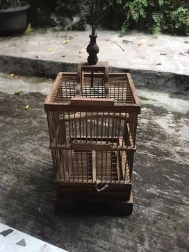 Kandang untulan pleci kecil minat wa aja kondisi aman normal