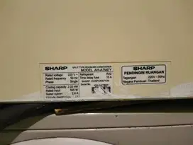 AC Sharp Thailand 3/4pk