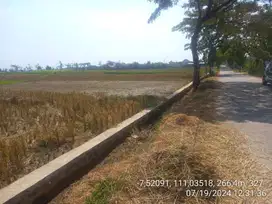 Dijual Tanah Luas Murah Lokasi Bagus Sragen Jawa Tengah