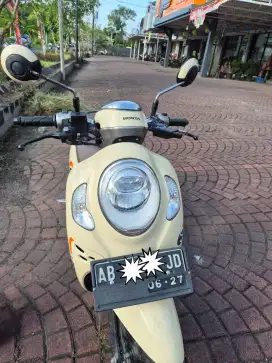 Scoopy Fashion 2021 | Cream