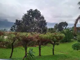 Turun Harga Super Murah Villa Di Cisarua Bogor Dijual B U