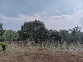 Cicil 30x Mulai 3 Jt-an Per-bulan, Kavling Tamansari Bogor