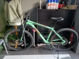 Casecade 4 (M) 2022