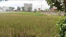 Jual Tanah Jalan Bunga Teratai
