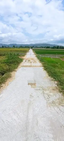 Dijual Tanah Sawah Strategis di *KALI TENGAH -  KAB KLATEN*