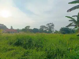 Investasi Untung, Tanah Dekat Calon Pintu Tol Bojonggede Free SHM