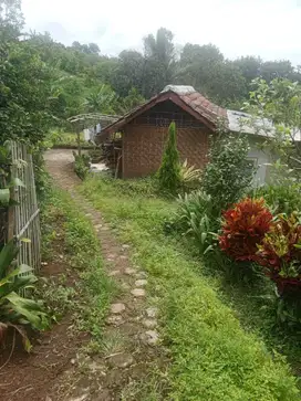 Pekarangan Kebun Apel Bulukerto Kota Batu