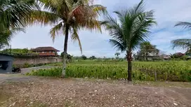 Hanya tinggal 1 unit, Kavling harga 2 Jtan. Bisa cicil 12x Bunga 0%