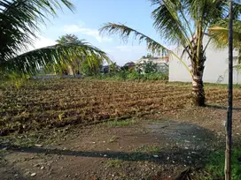 Tanah Kavling sisa 1 Unit Area Bogor