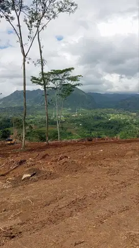 Tanah Kavling Murah Nuansa Alam The Hanjawong Villas Bogor Timur