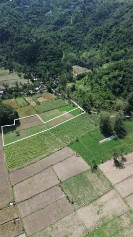 Tanah murah di Selong belanak lombok. Cocok untuk villa