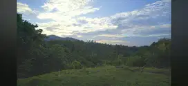 Dijual Tanah View Sungai di Desa Pengeragoan, Pekutatan, Jembrana