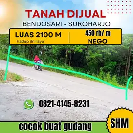 DIJUAL TANAH SETRATEGIS HADAP JALAN RAYA MULUR - SUKOAHRJO