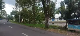 TANAH KLAMPOK METATU GRESIK 92388 ASSET BANK, CASH ONLY