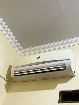 Ac sharp 1/2 pk
