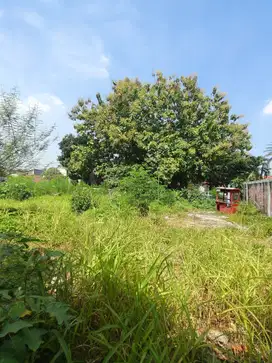 Dijual Tanah Hook Dalam Komplek Cipayung Bambu Apus Jakarta Timur
