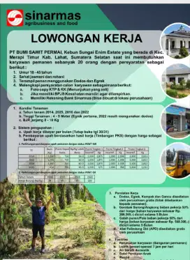 Lowongan pekerjaan tanpaIjazah PT . perkebunan kelapa sawit Kalimantan
