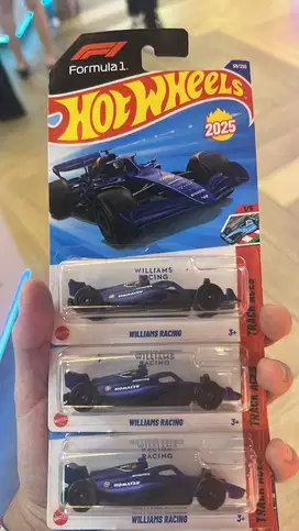 F1 Williams Hotwheel