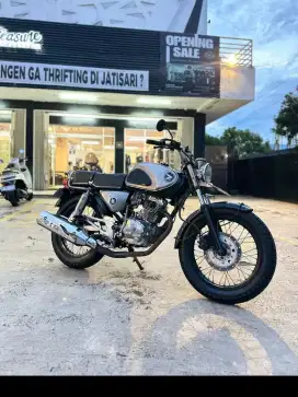 Cb dream basic tiger