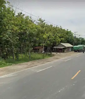 JUAL TANAH - NOL JALAN PROVINSI TUBAN PANTURA