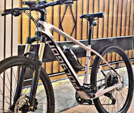 Polygon Sincline C2 Carbon 2020