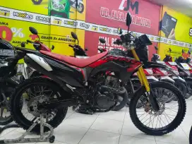HONDA CRF 150L Th 2024
