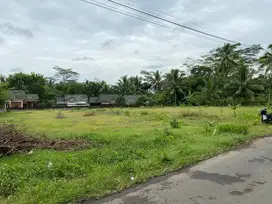 • JUAL TANAH KAVLING LUAS TEPI JALAN RAYA DI BOROBUDUR