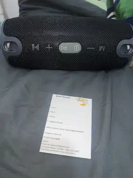 Arlando 2 in 1 FM radio