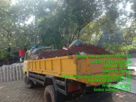 Tukang buang puing sampah dll