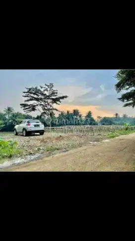 Jual BU,Tanah Darat Harga murah di Ciseeng,Parung-Bogor
