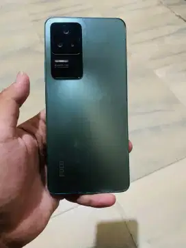 Poco F4 8/256 green line