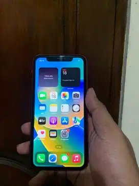 Iphone 11 64GB IBOX