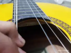 Gitar Yamaha C315, Fullset