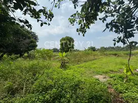 Tanah Padat Di Ko Manunggal Legok Kabupaten Tangerang