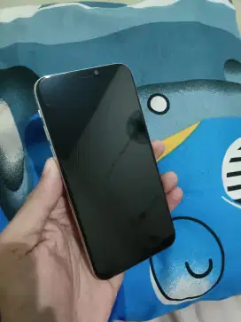 iPhone X 256 iBox PA nominus BS tt